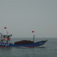 建設時產6000噸骨料系統、3.5公里廊道、配套3000萬噸碼頭!中電建廣東陽江大礦來了